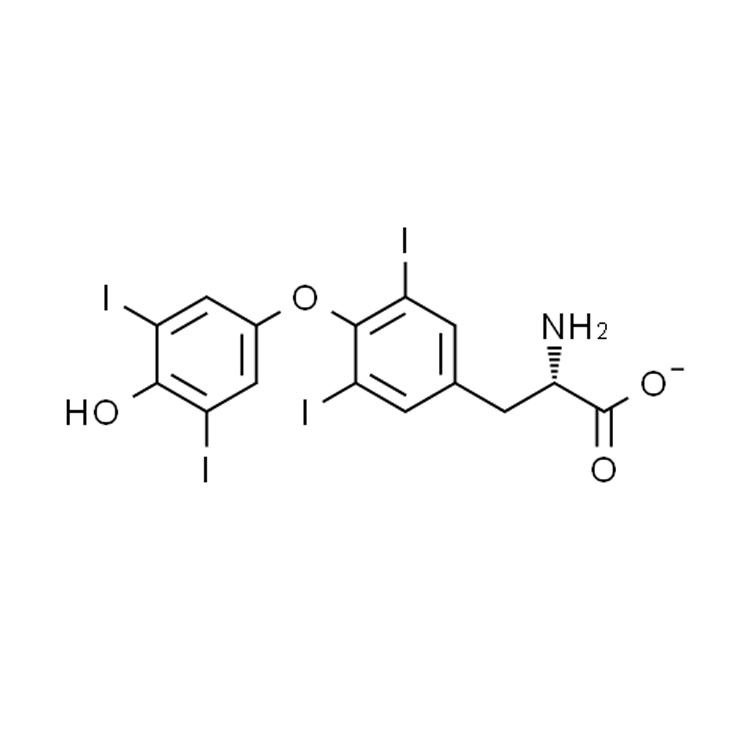 Sodium Levothyroxine
